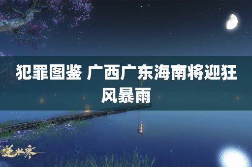 犯罪图鉴 广西广东海南将迎狂风暴雨