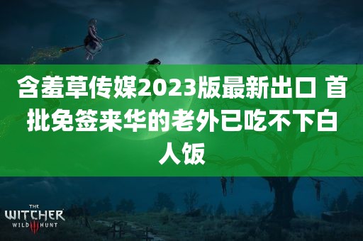 含羞草传媒2023版最新出口 首批免签来华的老外已吃不下白人饭