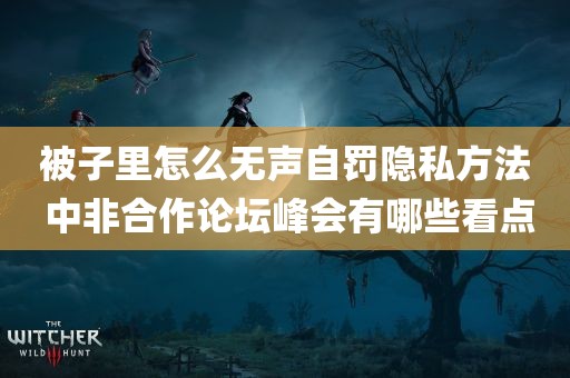 被子里怎么无声自罚隐私方法 中非合作论坛峰会有哪些看点