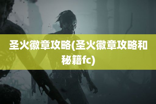 圣火徽章攻略(圣火徽章攻略和秘籍fc)