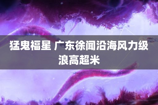 猛鬼福星 广东徐闻沿海风力级浪高超米