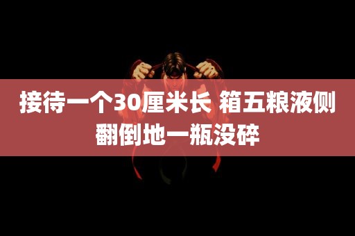 接待一个30厘米长 箱五粮液侧翻倒地一瓶没碎