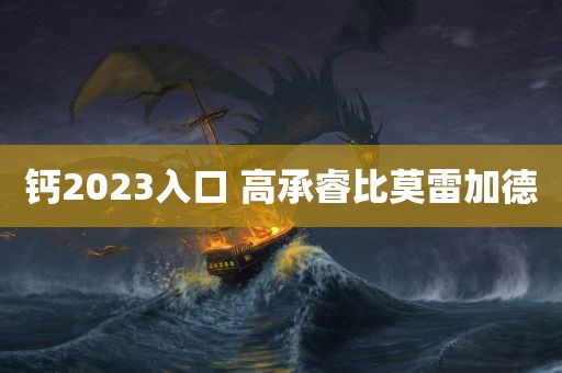 钙2023入口 高承睿比莫雷加德