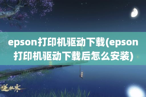 epson打印机驱动下载(epson打印机驱动下载后怎么安装)