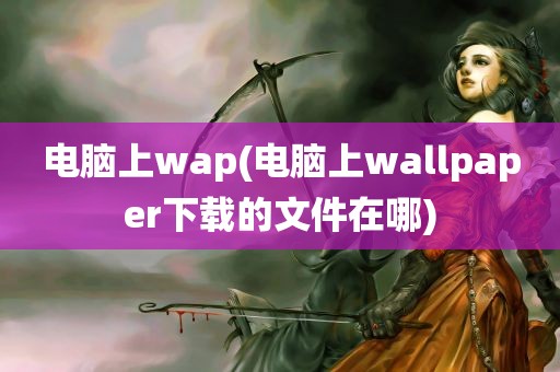 电脑上wap(电脑上wallpaper下载的文件在哪)