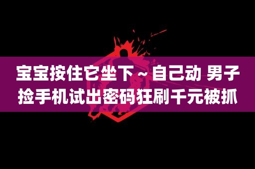 宝宝按住它坐下～自己动 男子捡手机试出密码狂刷千元被抓