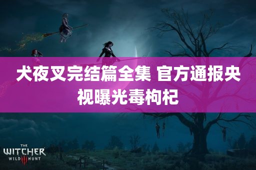 犬夜叉完结篇全集 官方通报央视曝光毒枸杞