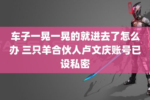 车子一晃一晃的就进去了怎么办 三只羊合伙人卢文庆账号已设私密