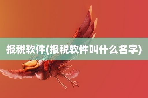 报税软件(报税软件叫什么名字)