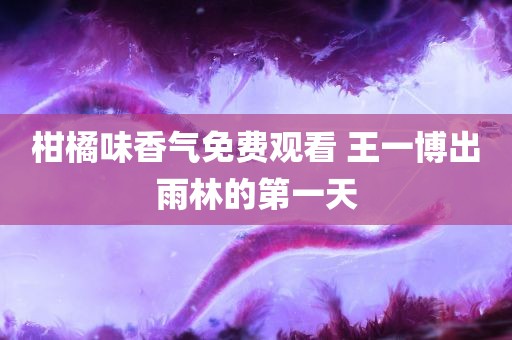 柑橘味香气免费观看 王一博出雨林的第一天