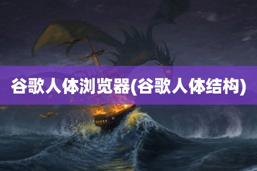 谷歌人体浏览器(谷歌人体结构)