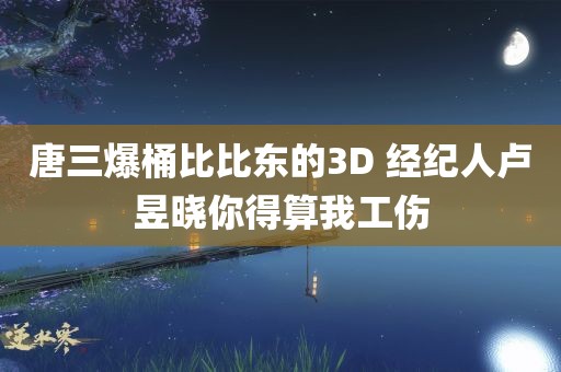 唐三爆桶比比东的3D 经纪人卢昱晓你得算我工伤