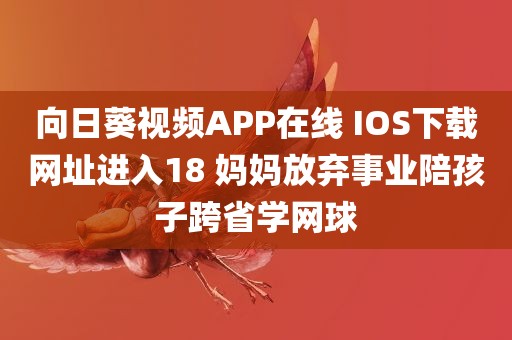 向日葵视频APP在线 IOS下载网址进入18 妈妈放弃事业陪孩子跨省学网球