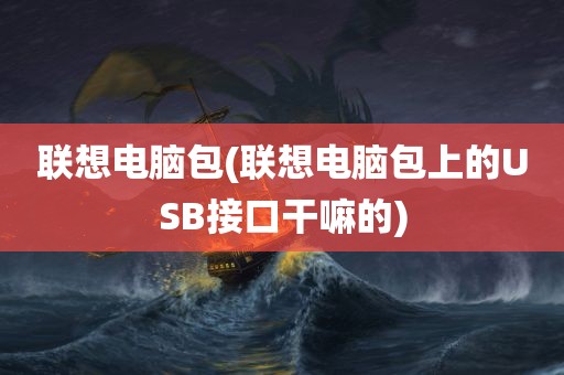 联想电脑包(联想电脑包上的USB接口干嘛的)