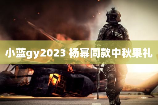 小蓝gy2023 杨幂同款中秋果礼