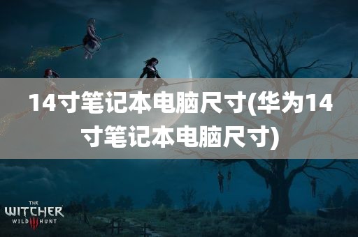 14寸笔记本电脑尺寸(华为14寸笔记本电脑尺寸)