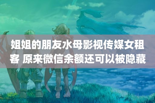 姐姐的朋友水母影视传媒女租客 原来微信余额还可以被隐藏