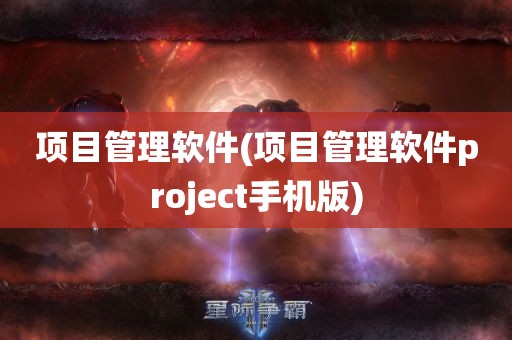 项目管理软件(项目管理软件project手机版)