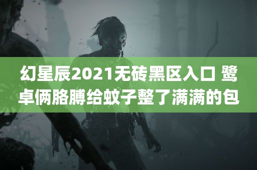 幻星辰2021无砖黑区入口 鹭卓俩胳膊给蚊子整了满满的包