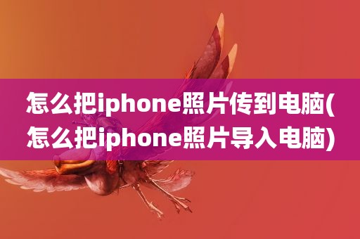 怎么把iphone照片传到电脑(怎么把iphone照片导入电脑)