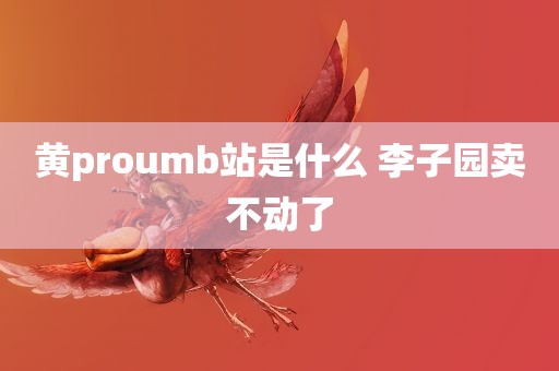 黄proumb站是什么 李子园卖不动了