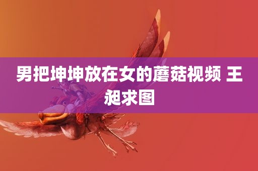 男把坤坤放在女的蘑菇视频 王昶求图