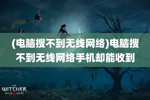 (电脑搜不到无线网络)电脑搜不到无线网络手机却能收到