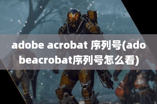 adobe acrobat 序列号(adobeacrobat序列号怎么看)