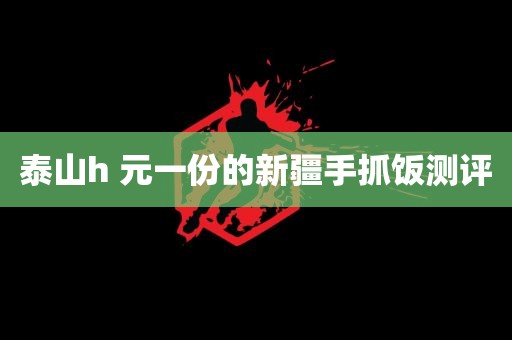 泰山h 元一份的新疆手抓饭测评