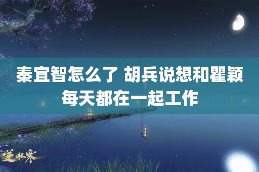 秦宜智怎么了 胡兵说想和瞿颖每天都在一起工作