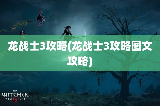 龙战士3攻略(龙战士3攻略图文攻略)