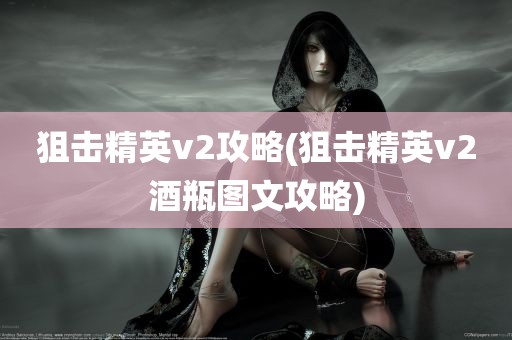 狙击精英v2攻略(狙击精英v2酒瓶图文攻略)