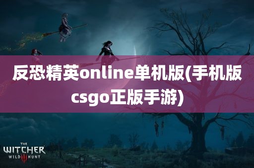 反恐精英online单机版(手机版csgo正版手游)