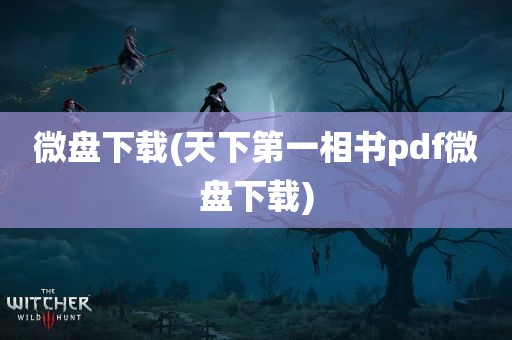 微盘下载(天下第一相书pdf微盘下载)