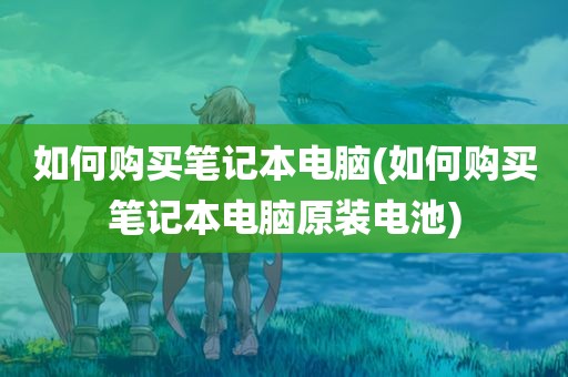 如何购买笔记本电脑(如何购买笔记本电脑原装电池)