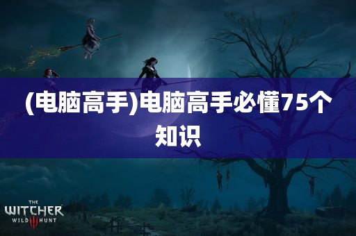 (电脑高手)电脑高手必懂75个知识