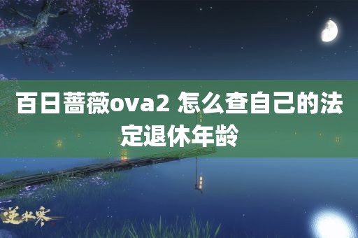 百日蔷薇ova2 怎么查自己的法定退休年龄