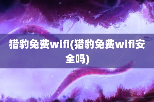 猎豹免费wifi(猎豹免费wifi安全吗)