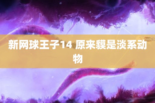 新网球王子14 原来貘是淡系动物