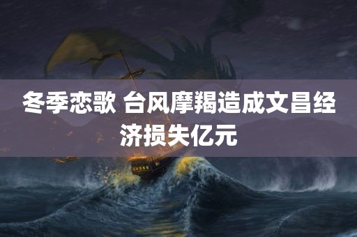 冬季恋歌 台风摩羯造成文昌经济损失亿元