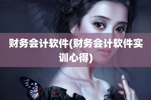 财务会计软件(财务会计软件实训心得)