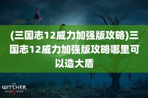 (三国志12威力加强版攻略)三国志12威力加强版攻略哪里可以造大盾