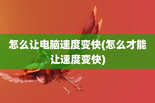 怎么让电脑速度变快(怎么才能让速度变快)