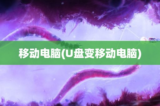 移动电脑(U盘变移动电脑)