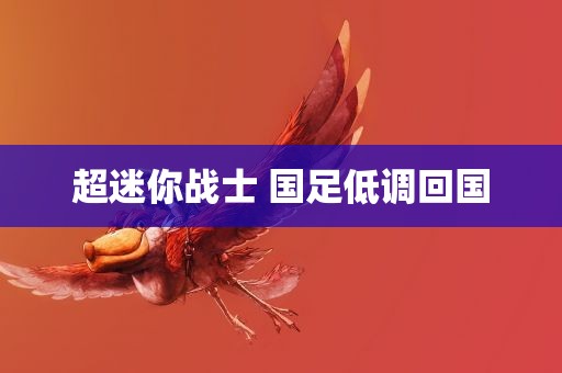 超迷你战士 国足低调回国