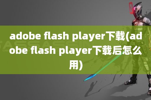 adobe flash player下载(adobe flash player下载后怎么用)