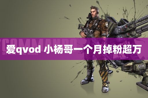 爱qvod 小杨哥一个月掉粉超万