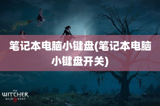 笔记本电脑小键盘(笔记本电脑小键盘开关)