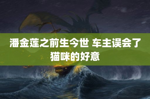 潘金莲之前生今世 车主误会了猫咪的好意