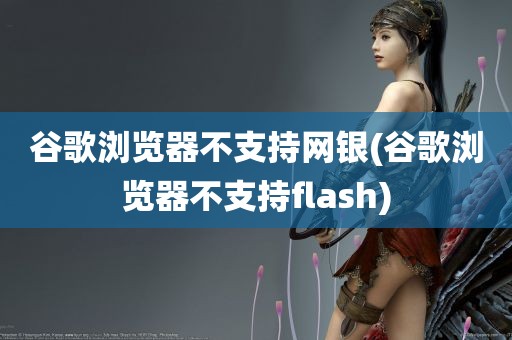 谷歌浏览器不支持网银(谷歌浏览器不支持flash)